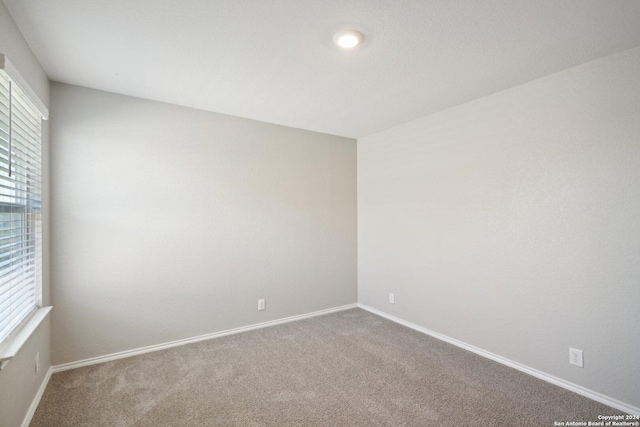 spare room featuring carpet