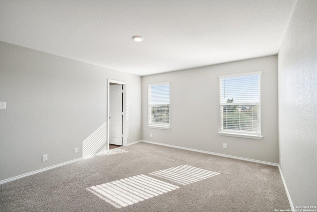 carpeted empty room with a wealth of natural light