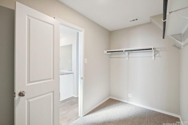 walk in closet with light carpet