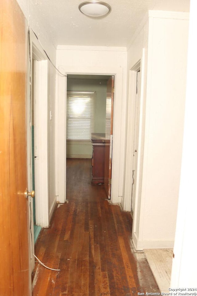 corridor with dark wood-type flooring and ornamental molding