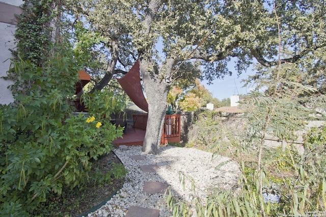 view of yard with a deck