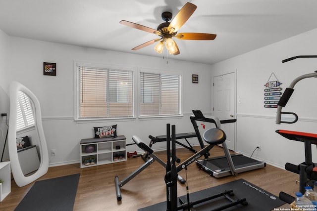 workout area featuring ceiling fan and wood-type flooring