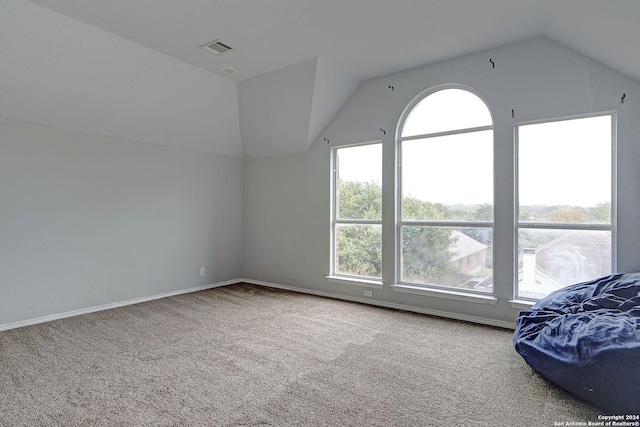 additional living space featuring carpet floors and vaulted ceiling