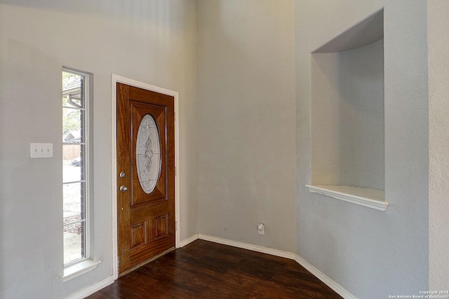 entryway with a wealth of natural light and dark wood-type flooring