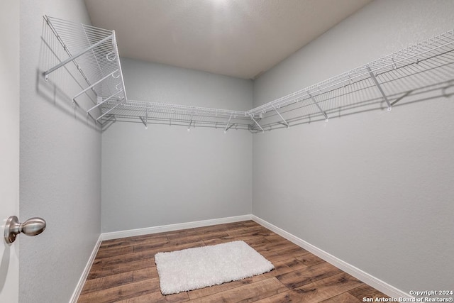 walk in closet with dark wood-type flooring