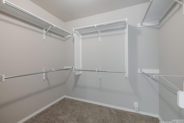 walk in closet with carpet