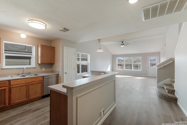 kitchen featuring vaulted ceiling, light hardwood / wood-style flooring, stainless steel dishwasher, and sink