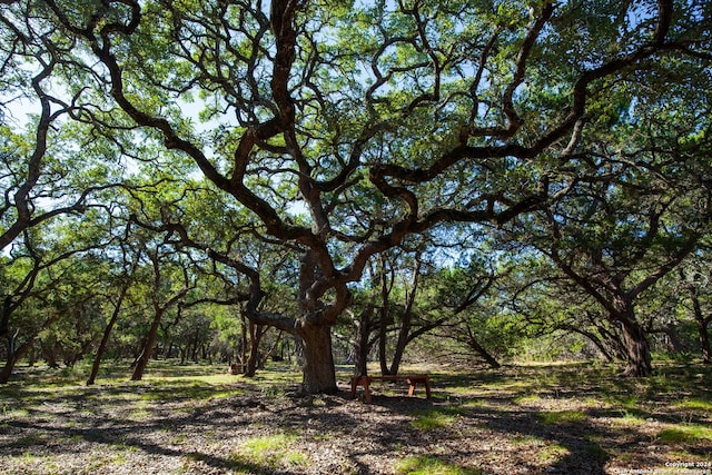 26662 Fawn Mtn, Boerne TX, 78015 land for sale