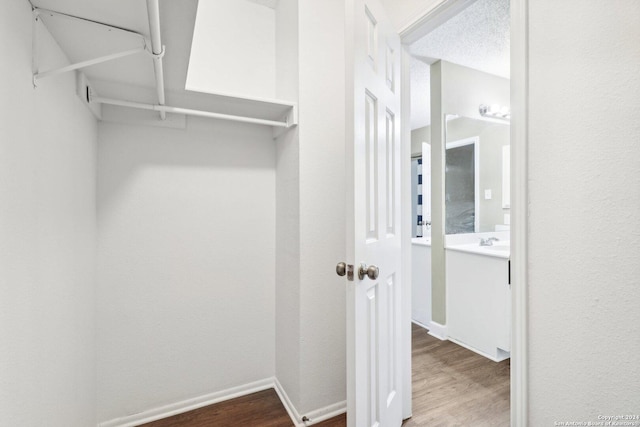 walk in closet featuring hardwood / wood-style flooring