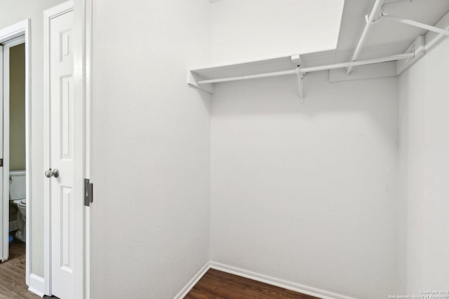 walk in closet with dark hardwood / wood-style floors