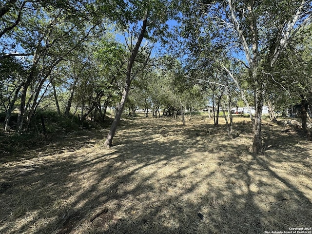 0 S River St, Pleasanton TX, 78064 land for sale