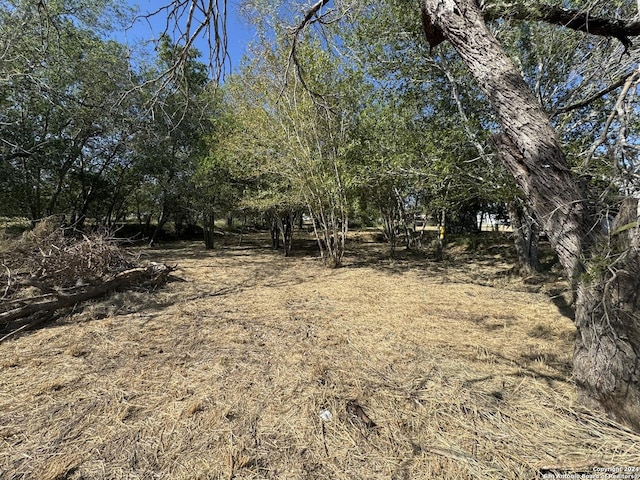 Listing photo 2 for 0 S River St, Pleasanton TX 78064