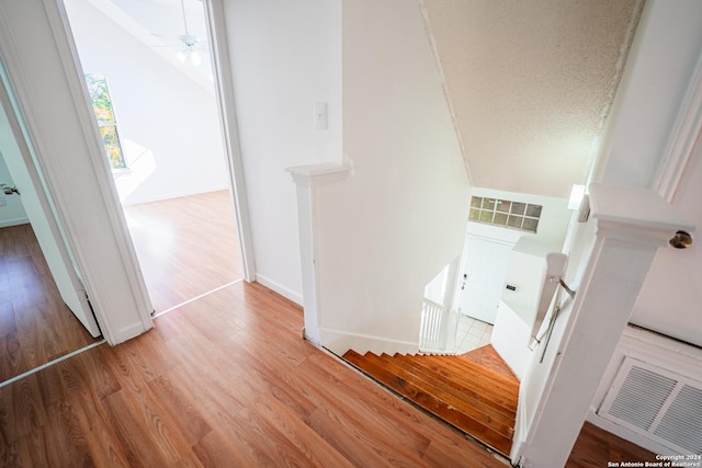 stairway featuring ceiling fan and hardwood / wood-style flooring