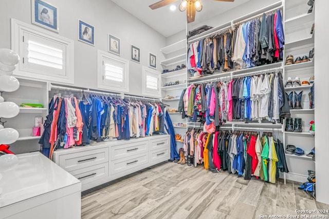 spacious closet featuring ceiling fan and light hardwood / wood-style flooring