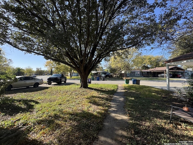 view of yard