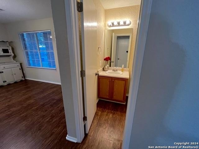 bathroom featuring hardwood / wood-style floors and vanity