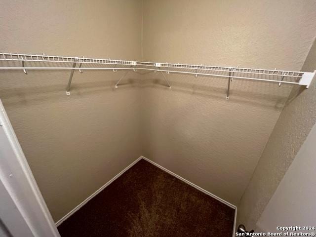 walk in closet featuring carpet floors