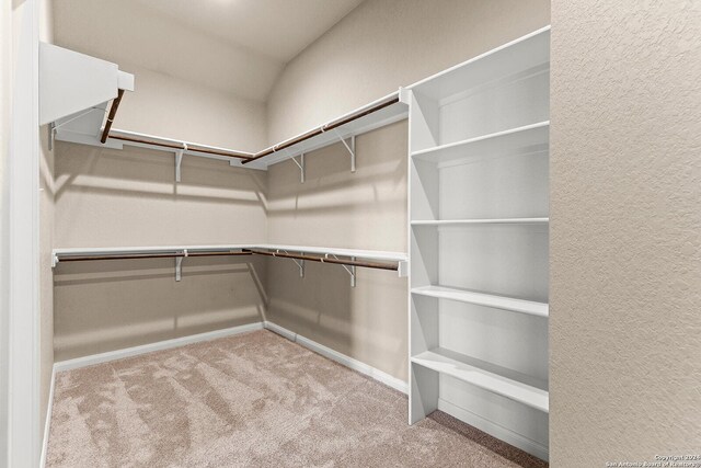 walk in closet with light colored carpet