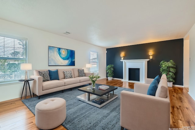 living room featuring plenty of natural light and wood-type flooring