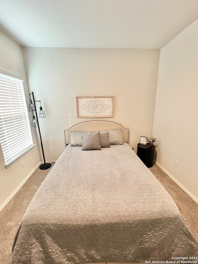 bedroom featuring carpet floors