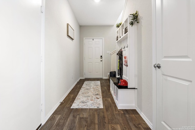 mudroom with dark hardwood / wood-style flooring