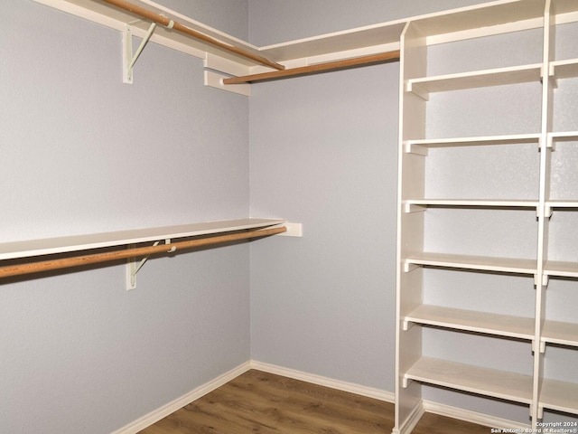 spacious closet featuring dark hardwood / wood-style flooring