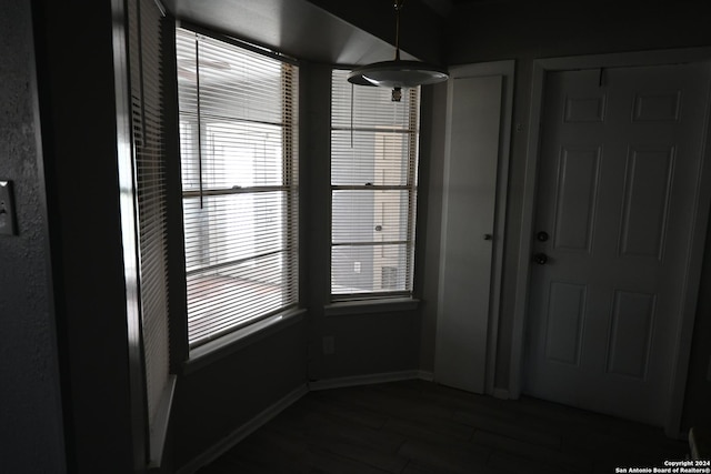 interior space featuring a wealth of natural light and dark wood-type flooring