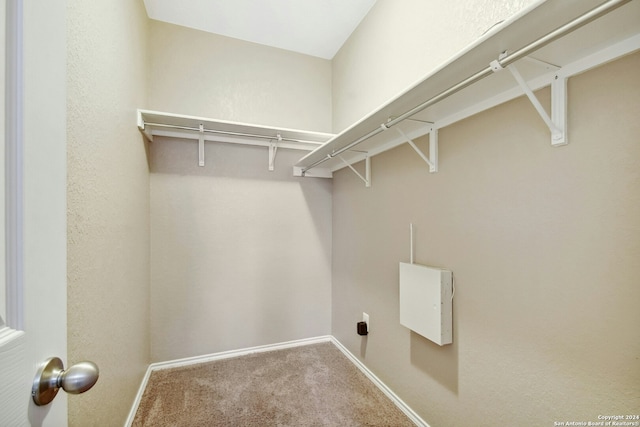 spacious closet with carpet floors