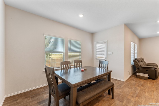 dining space with light hardwood / wood-style floors and a wealth of natural light