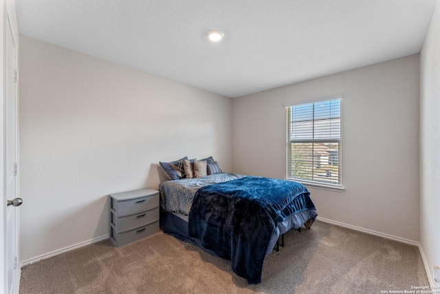 bedroom with carpet flooring