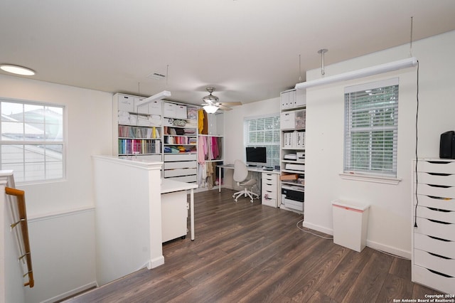 kitchen with white cabinets, ceiling fan, and dark wood-type flooring