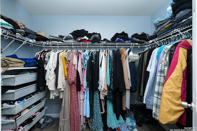 walk in closet featuring hardwood / wood-style flooring