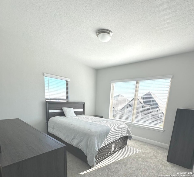 carpeted bedroom with a textured ceiling and multiple windows