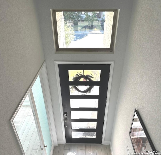 foyer with a healthy amount of sunlight and light hardwood / wood-style floors