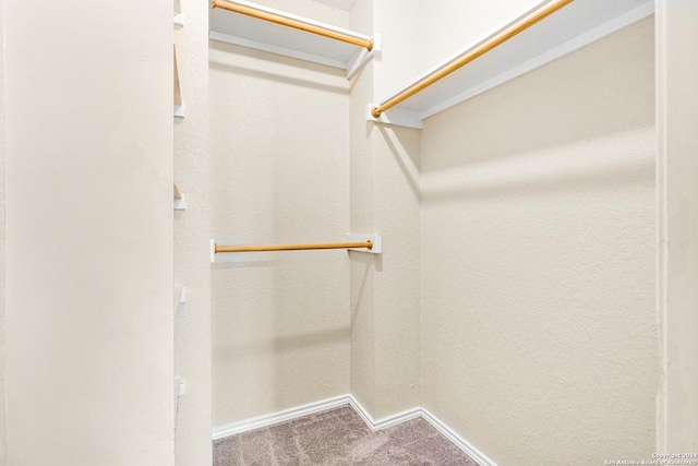 spacious closet with carpet flooring