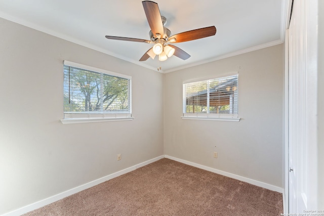 empty room featuring carpet flooring, ceiling fan, and crown molding