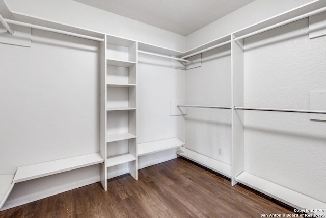 walk in closet with dark hardwood / wood-style flooring