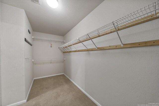 spacious closet with carpet flooring