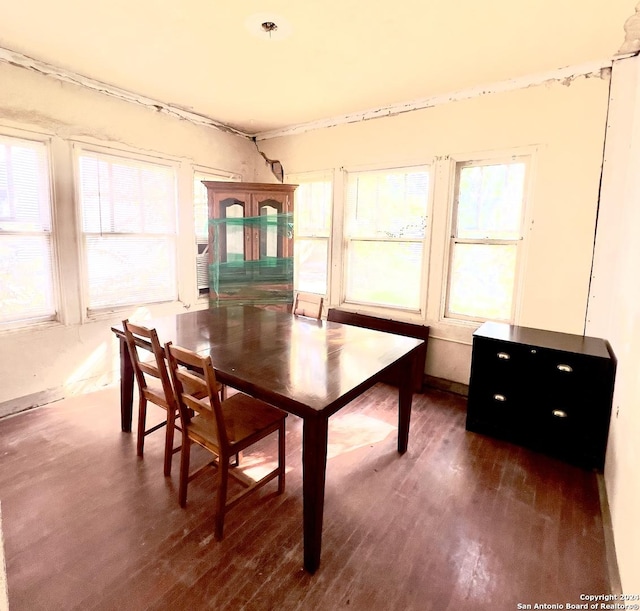 dining area with dark hardwood / wood-style floors and a wealth of natural light