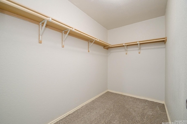 spacious closet with carpet floors