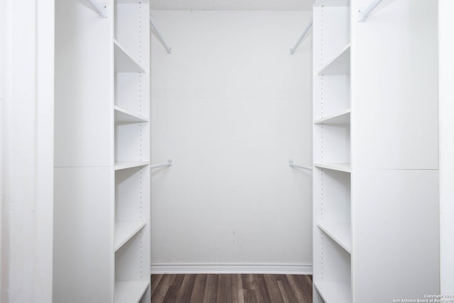 spacious closet featuring dark hardwood / wood-style floors