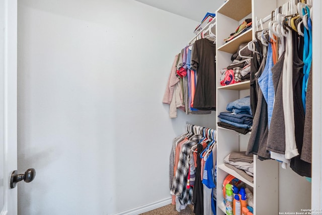 spacious closet with carpet