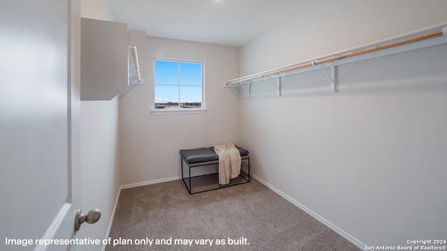 walk in closet with carpet