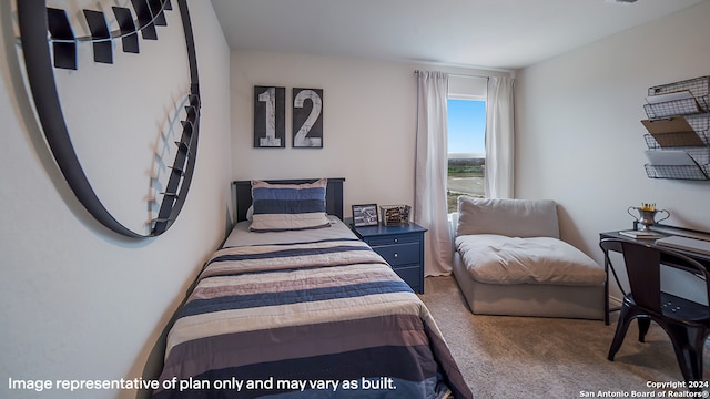 view of carpeted bedroom