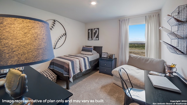 view of carpeted bedroom