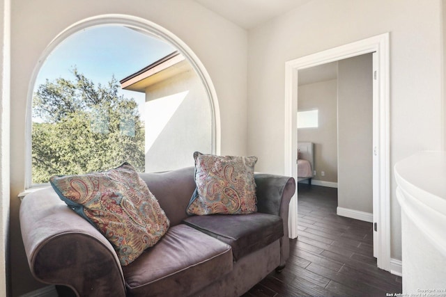 living area with dark wood-type flooring