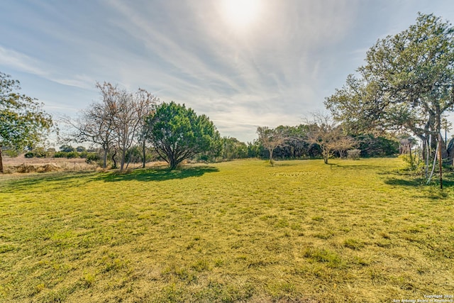 view of yard with a rural view