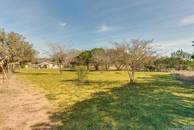 view of yard with a rural view