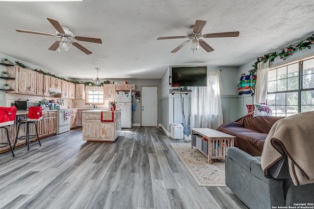 living room featuring light hardwood / wood-style flooring, a healthy amount of sunlight, and ceiling fan with notable chandelier