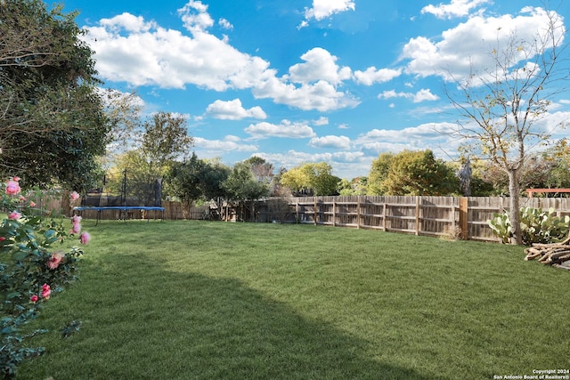 view of yard featuring a trampoline